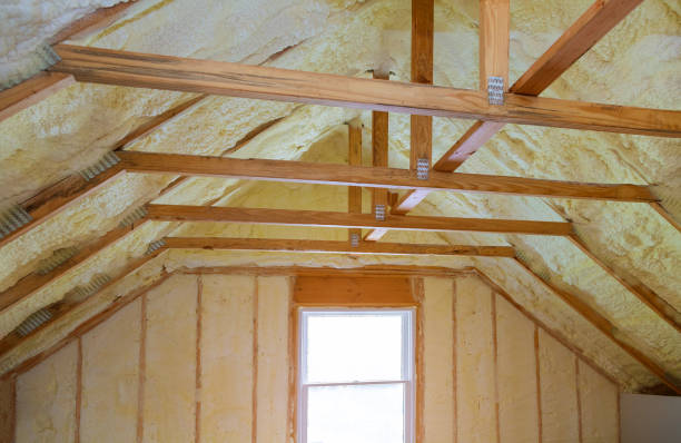 Best Specialized Insulation Services in On Top Of The World Designated Place, FL