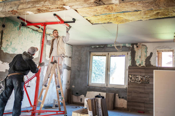 Professional Insulation Contractor in On Top Of The World Designated Place, FL